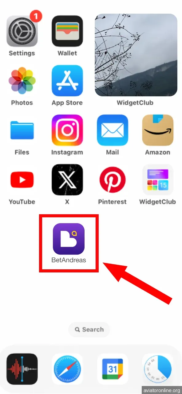 Open BetAndreas app from your home screen after install.