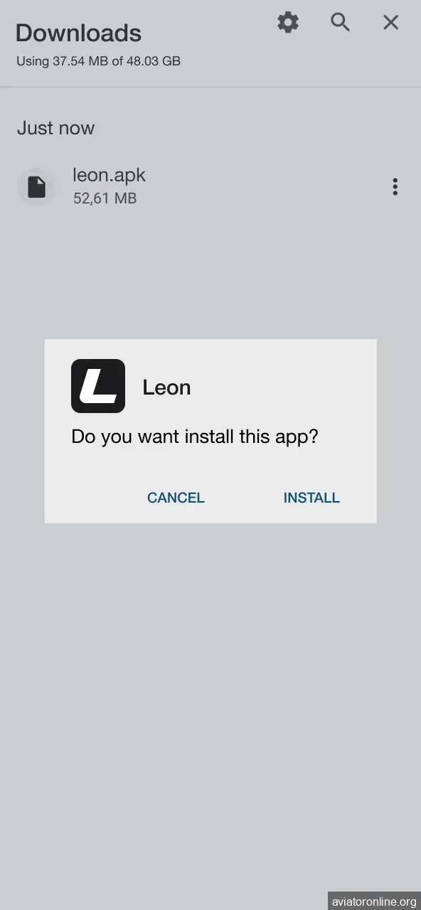 Open Leon APK and confirm installation.