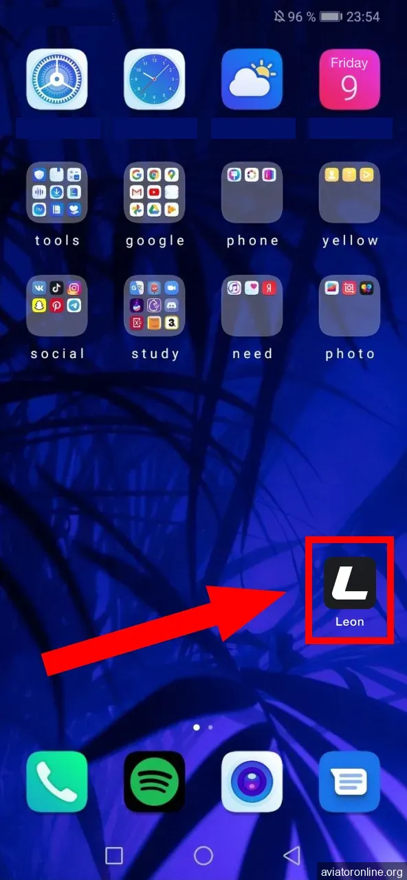 Start the Leon app by tapping its icon.